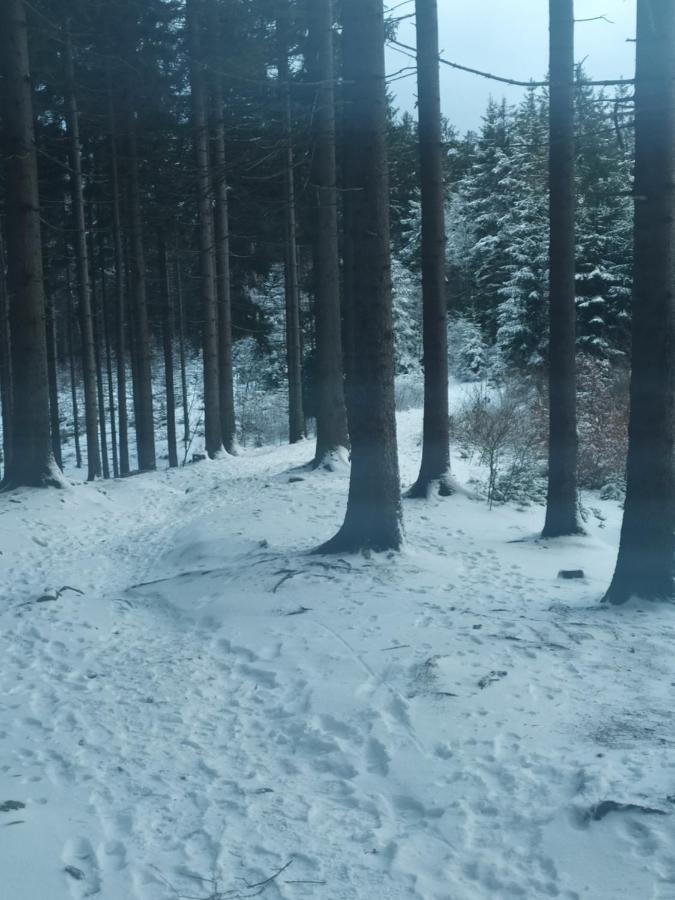 Penzion Bazalka Jablonec nad Nysą Zewnętrze zdjęcie