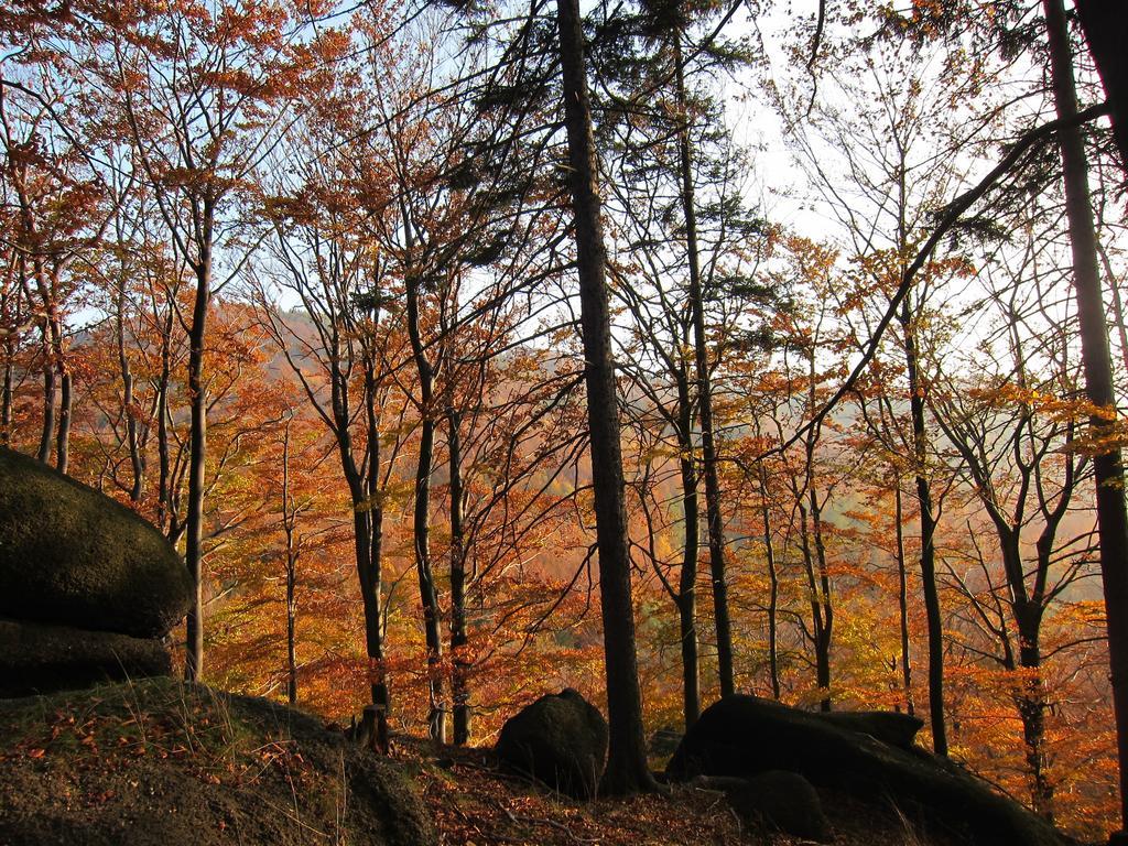 Penzion Bazalka Jablonec nad Nysą Zewnętrze zdjęcie